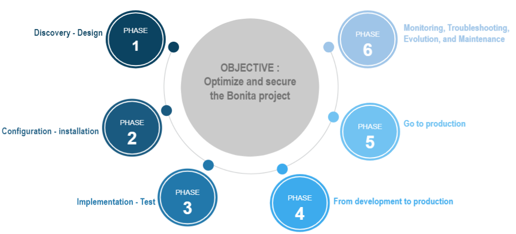 Project phases