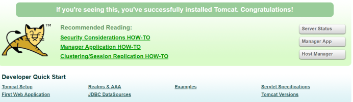 Tomcat home page