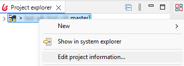 edit project information