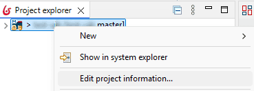 edit project information